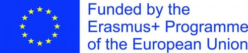 B-WISE- Blueprint for Sectoral Cooperation on Skills in Work Integration Social Enterprises