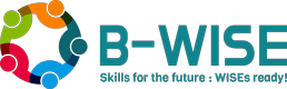 B WISE publikacija: Report understanding user (digital) skill needs in WISEs